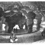 Fig. 01 – Vasche con animali marini dell’acquario di Berlino. Disegno originale di K. Henn (tratto da: G. Rasch, "Das Berliner Aquarium", in «Illustrierte Zeitung», 8 maggio 1869, p. 353)