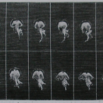 Fig. 12 – «Mouvements de l’ombrélle de la Méduse. La première image est à gauche de la ligne supérieure; la dernière à droite de la ligne inférieure» (tratto da: Étienne-Jules Marey, "La locomotion dans l’eau. Étudiée par la photochronographie", in «La Nature», 29 settembre 1883, p. 376)