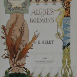 Fig. 17 – Tavola n. 1 (tratta da: E. Belet, "La végétation sous marine", Armand Guérinet, Paris 1900)